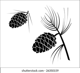 vector illustration of pinecone wood nature