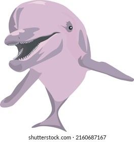 Vector illustration of a pink amazon dolphin smiling - Pink dolphin vector