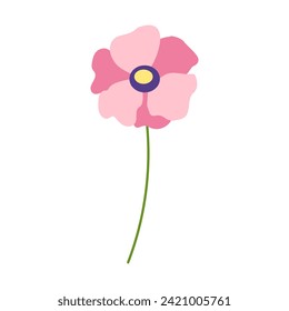 Vector illustration with pink anemone flower