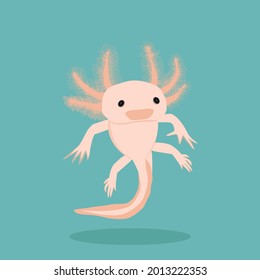 Vector illustration of pink axolotl isolated on a blue background.