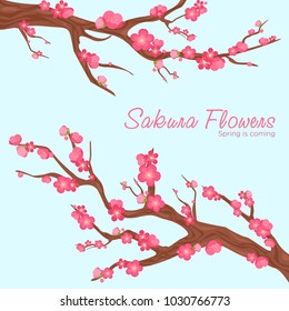 Vector illustration of pink beautiful sakura branches with flowers or cherry blossom background in japanese style on blue background.