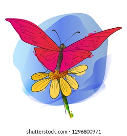 Vector illustration of pink butterfly on a daisy flower. Watercolor. Blue sky. Isolated on white background.