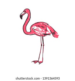 Vector illustration of a pink cartoon flamingo. Sketch of a flamingo bird on a white background.