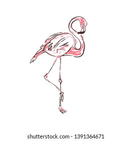 Vector illustration of a pink cartoon flamingo. Sketch of a flamingo bird on a white background.