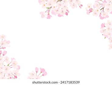 Vector Illustration of Pink Cherry blossom.