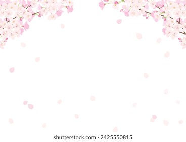 Vector Illustration of Pink Cherry blossom.