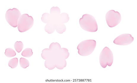 Vector illustration of pink cherry blossom flowers in various shapes.