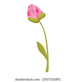 Vector illustration of a pink clover flower growing on a green stem with a single leaf