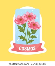 Vector illustration of pink cosmos flowers with green leaves, set against a blue background and framed in a vintage style