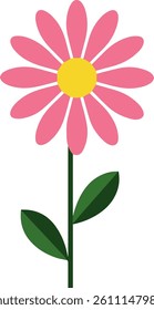 Vector illustration of a pink daisy flower