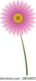 Vector illustration of a pink daisy gerbera flower with beautiful gradient mesh details isolated on white background
