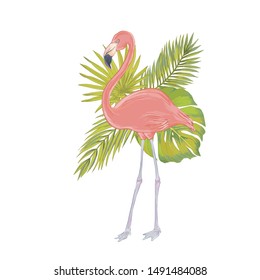 Vector illustration of pink flamingo bird with watercolor effect with  fhilodendron, areca palm, fan palm.