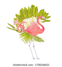 Vector illustration of pink flamingo bird with pink orchid flower, bamboo leaves, fhilodendron, areca palm, ravenala tree.
