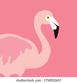 Vector illustration pink flamingo. Exotic bird. Cool flamingo decorative flat design element. Lovely flamingo