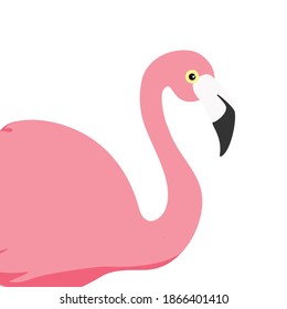 Vector illustration pink flamingo. Exotic bird. Cool flamingo decorative flat design element. Lovely flamingo