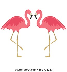 Vector illustration pink flamingo. Exotic bird. Cool flamingo decorative flat design element. Lovely flamingo 