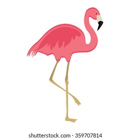 Vector illustration pink flamingo. Exotic bird. Cool flamingo decorative flat design element. Lovely flamingo 