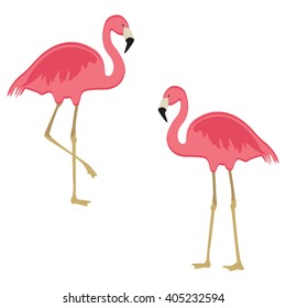 Vector illustration pink flamingo. Exotic bird. Cool flamingo decorative flat design element.