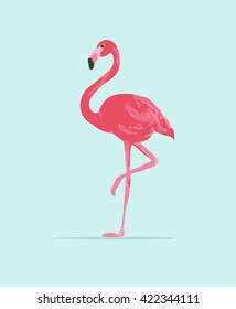 Vector illustration pink flamingo. Exotic bird. Cool flamingo decorative flat design element. 