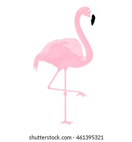 vector illustration pink flamingo. Exotic bird. Decorative cute flamingo, one foot