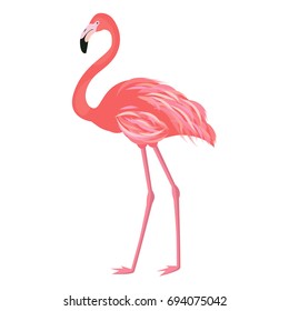 Vector illustration pink flamingo. Exotic bird. Cool flamingo decorative flat design element. Lovely flamingo