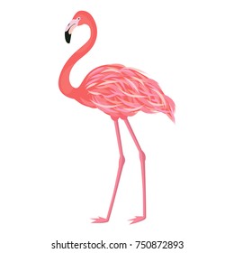 Vector illustration pink flamingo. Exotic bird. Cool flamingo decorative flat design element. Lovely flamingo