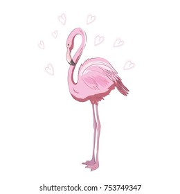 Vector illustration pink flamingo. Exotic bird. Cool flamingo decorative flat design element. Lovely flamingo