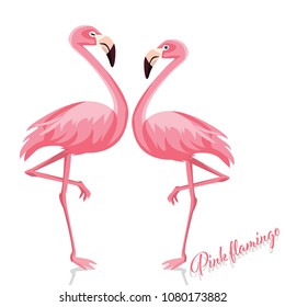 Vector illustration of pink flamingo isolated on white background.