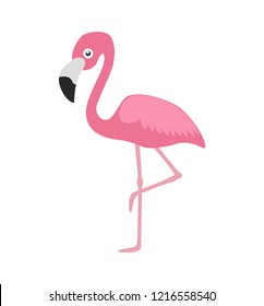 Vector illustration pink flamingo isolated on white background 