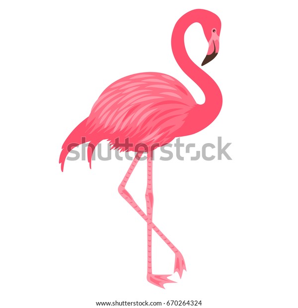 ピンクのフラミンゴのベクターイラスト 白い背景に エキゾチックな熱帯の鳥 のベクター画像素材 ロイヤリティフリー 670264324