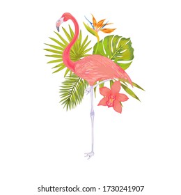 Vector illustration of pink flamingo with pink orchid flower, bamboo leaves, fhilodendron, areca palm, fan palm, strelitzia flower
