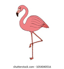 
Vector illustration of a pink flamingo standing on one leg, 
large wild bird, hand drawn doodle