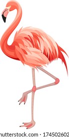 Vector illustration of a pink flamingo standing on one leg.