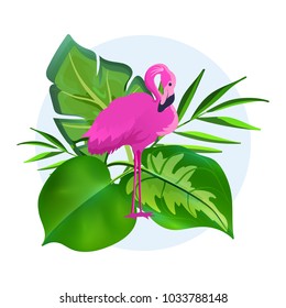 Vector Illustration of a Pink Flamingo 
and Tropical leaves background.
Cartoon exotic bird for a advertising banner, poster, t-shirt and web.