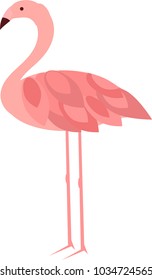 vector illustration of pink flamingo without background