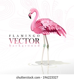 Vector illustration of pink flamingos