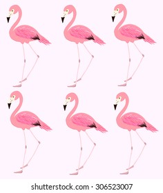 Vector illustration of pink flamingos