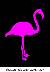 Vector illustration of pink flamingos isolated on black background.