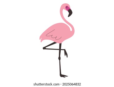 Vector illustration of pink flamingos on a white background.