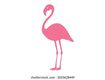 Vector illustration of pink flamingos on a white background.