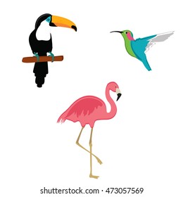 Vector illustration pink flamingo,toucan and humming bird. Exotic bird set.