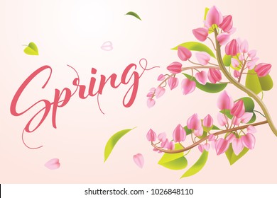 Vector illustration pink floral branch in spring season theme with text