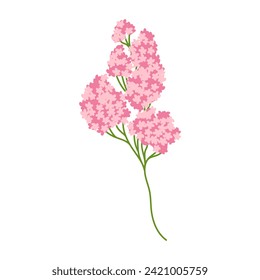 Ilustración vectorial con flor rosa