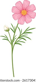 Vector illustration of a pink flower with a bud, featuring delicate lines and vibrant colors on a white background
