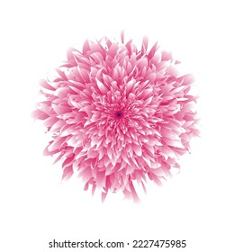 Vector illustration of pink flower on a white background. Floral blend design.