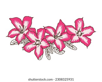 Vector illustration of pink flower species Adenium obesum with leaves and white background