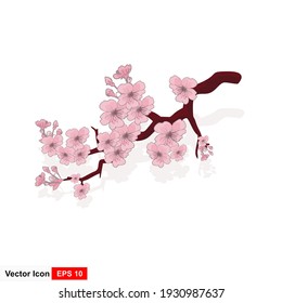 Vector illustration of pink flowers isolated on white background. Spring floral element for card design needs. Peaches in bloom, apricot blossoms, cherry blossoms or cherry blossoms. Vector icon. 
