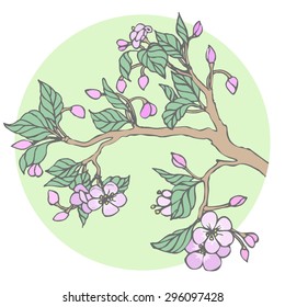 Vector illustration of pink flowers for your design