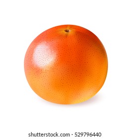 Vector illustration pink grapefruit in realistic style
