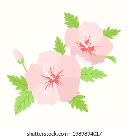 Ilustración vectorial de la flor del hibisco rosa.